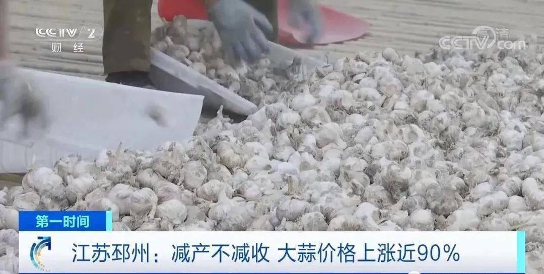 邳州大蒜今日行情更新，新鲜市场动态解析