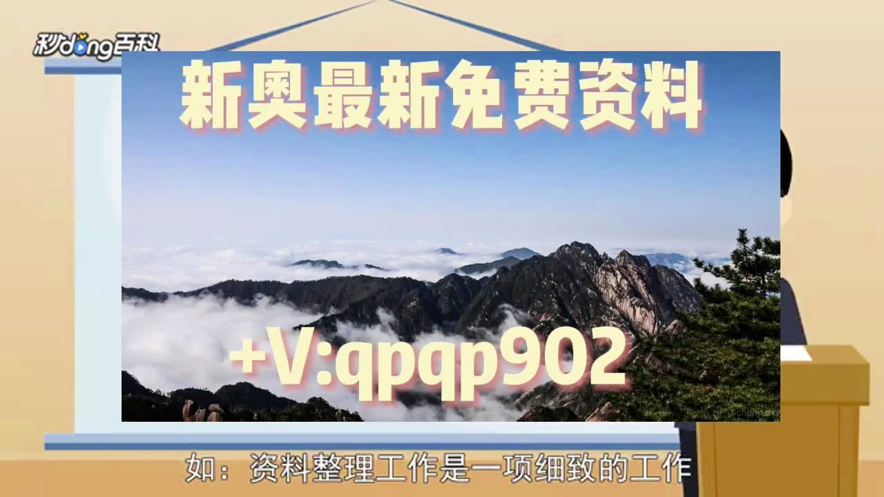 2024新奥正版资料大全免费提供,快速解答方案实践_炼髓境82.558