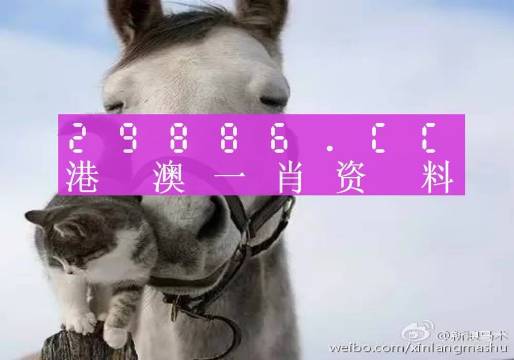 2025澳门特马今晚开奖113期,实地观察解释定义_灵动版70.780