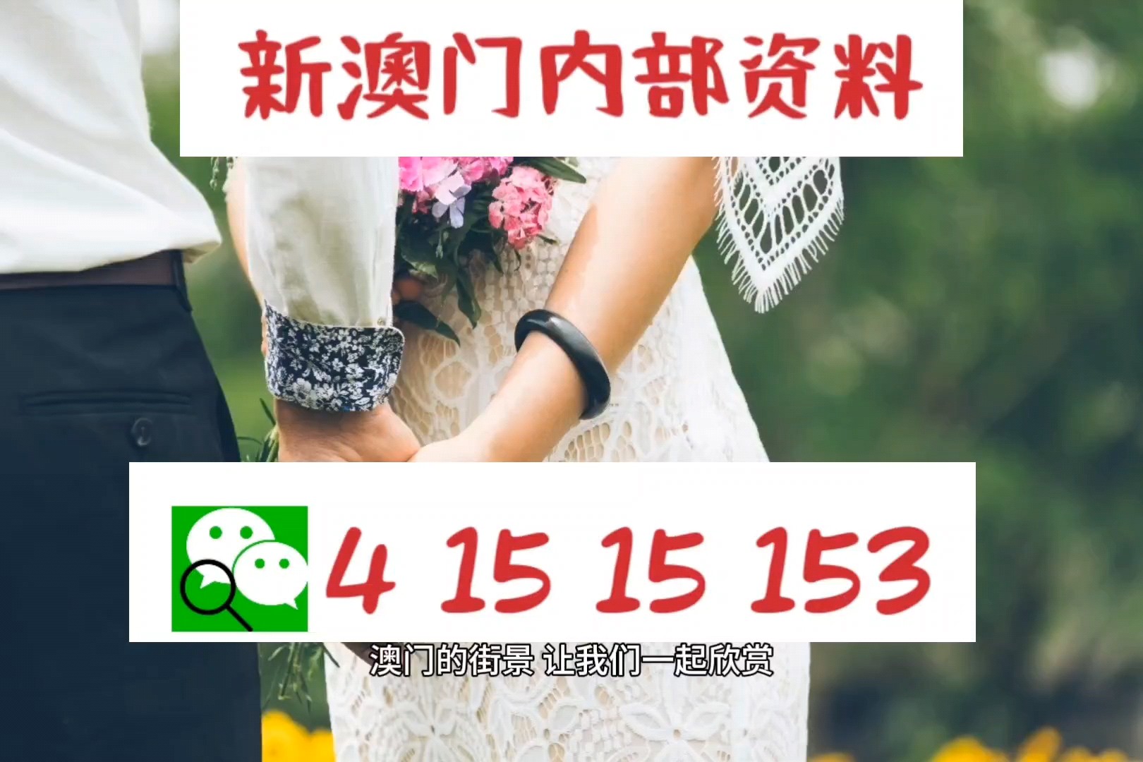 新澳门今晚特马号码推荐,快速解答方案设计_可靠版47.522