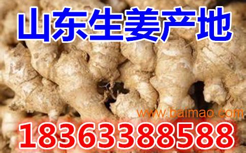 静电喷涂及电泳漆加工 第71页
