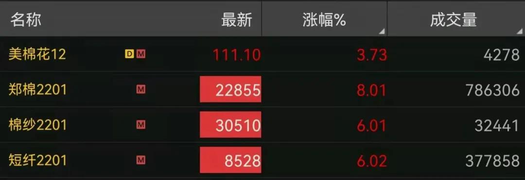 今日棉花价格行情更新报告