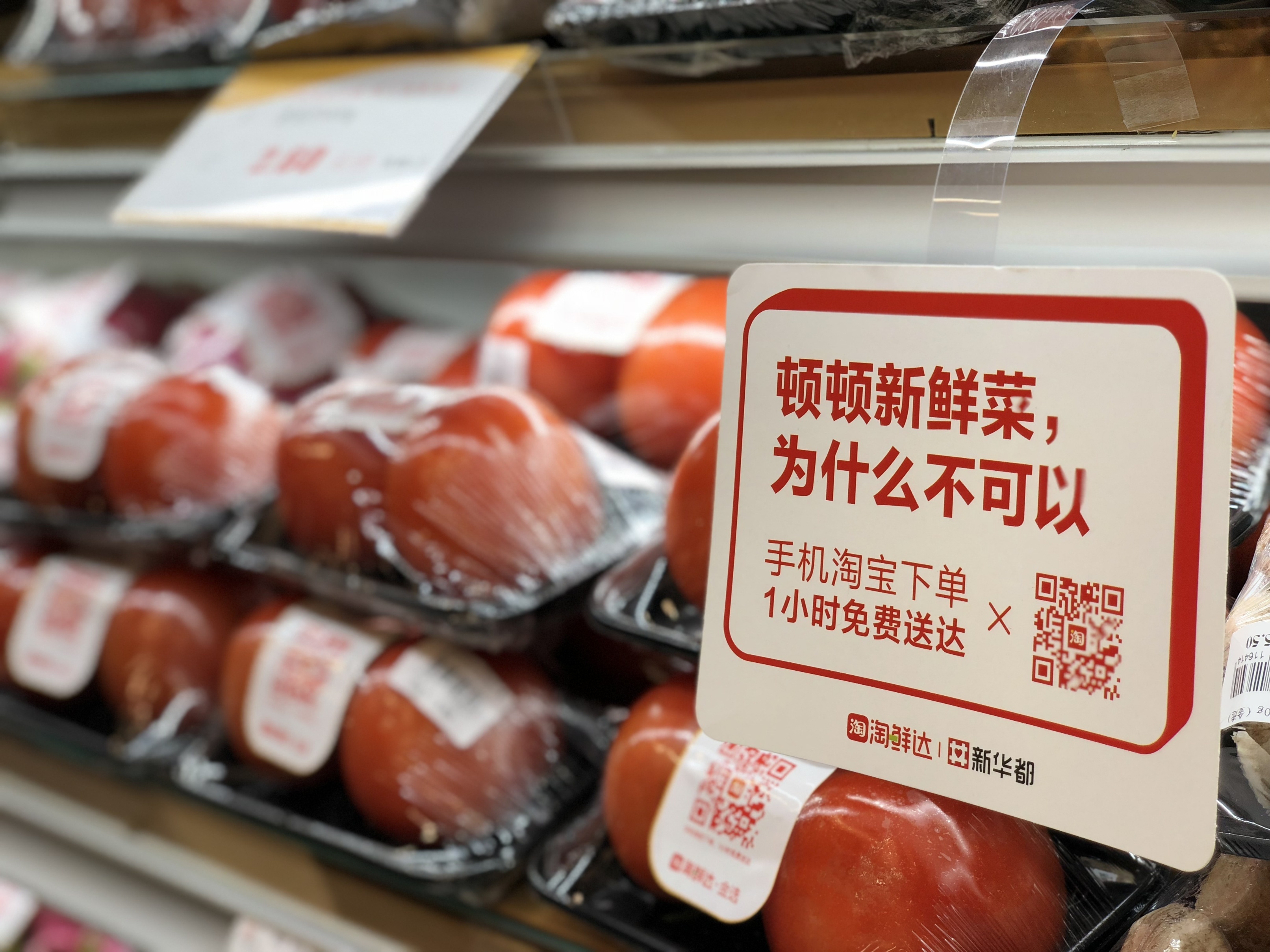 小巷中的秘密美食天堂，淘最新鲜美食之旅