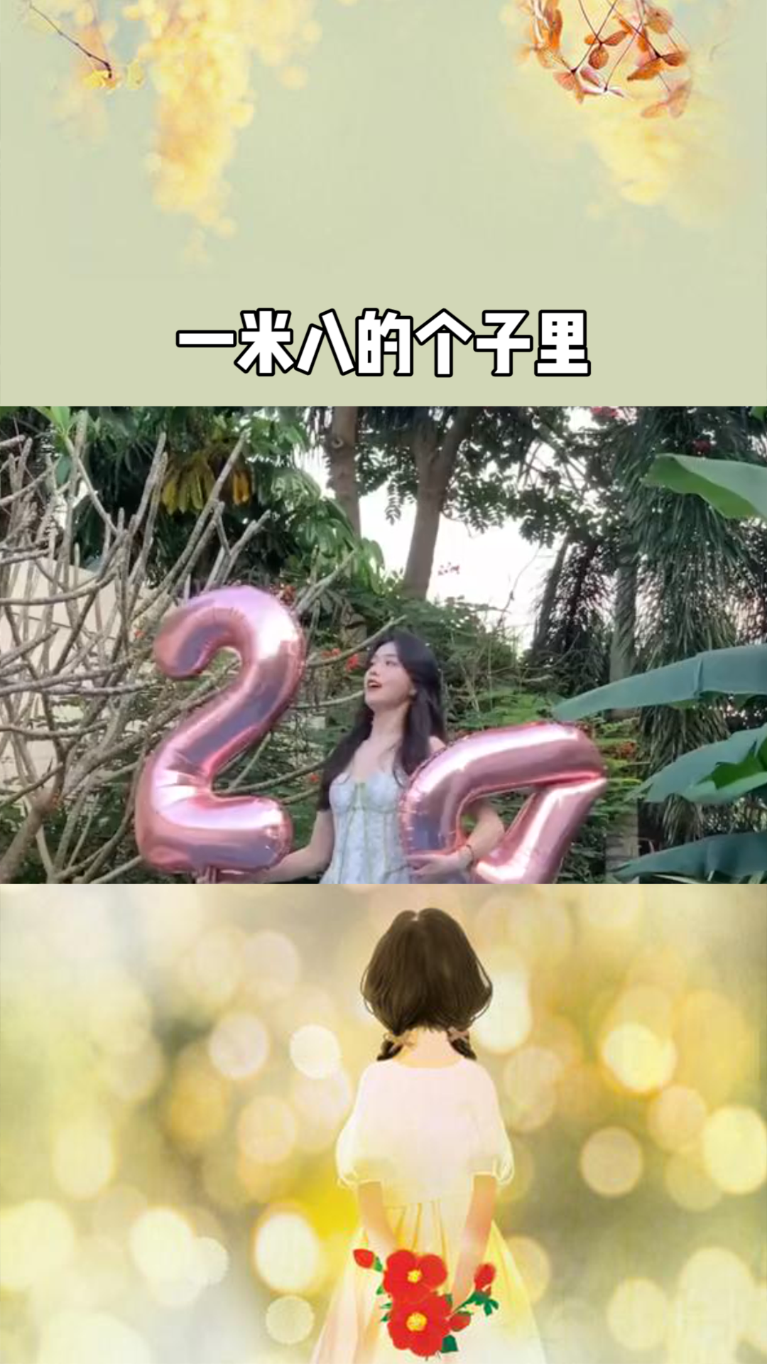 探寻奇幻世界的冒险与奥秘，公主一米八最新章节
