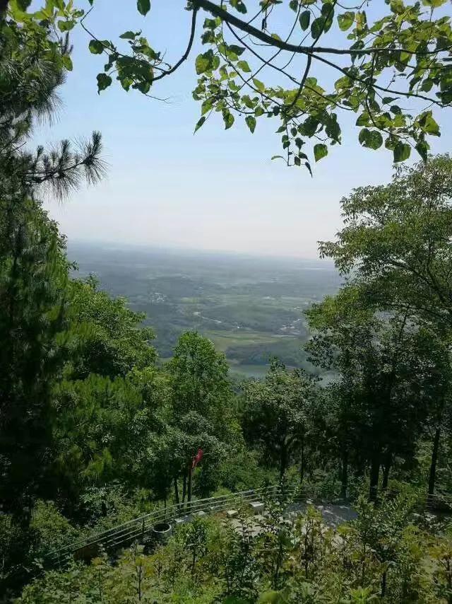 华容县东山镇最新项目，引领地区发展的强大驱动力