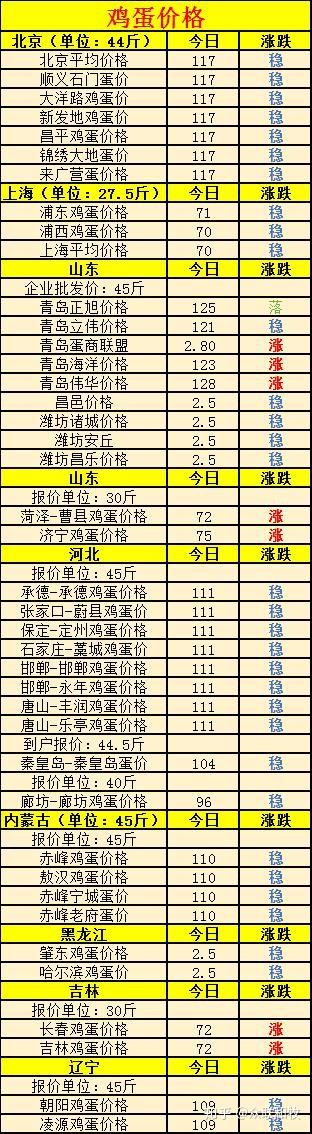 全国鸡蛋最新批发价格，友情与陪伴中的温情故事