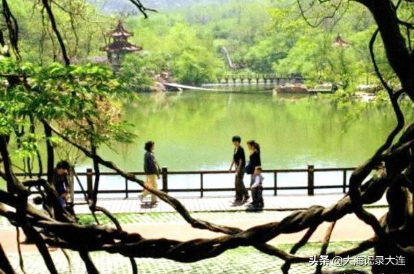 大连白云雁水最新消息概览，最新动态与进展速览