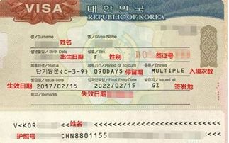 韩国签证最新政策解读，一文掌握所有更新！