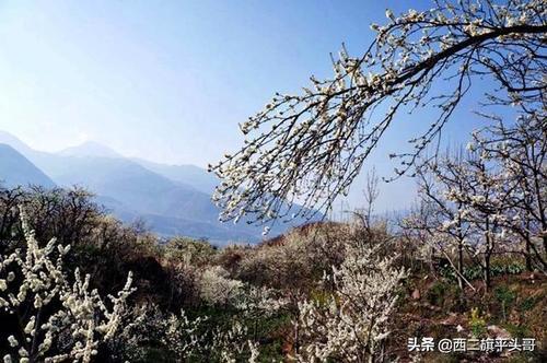 汉源九襄镇最新规划图揭秘，蓝图下的繁荣未来