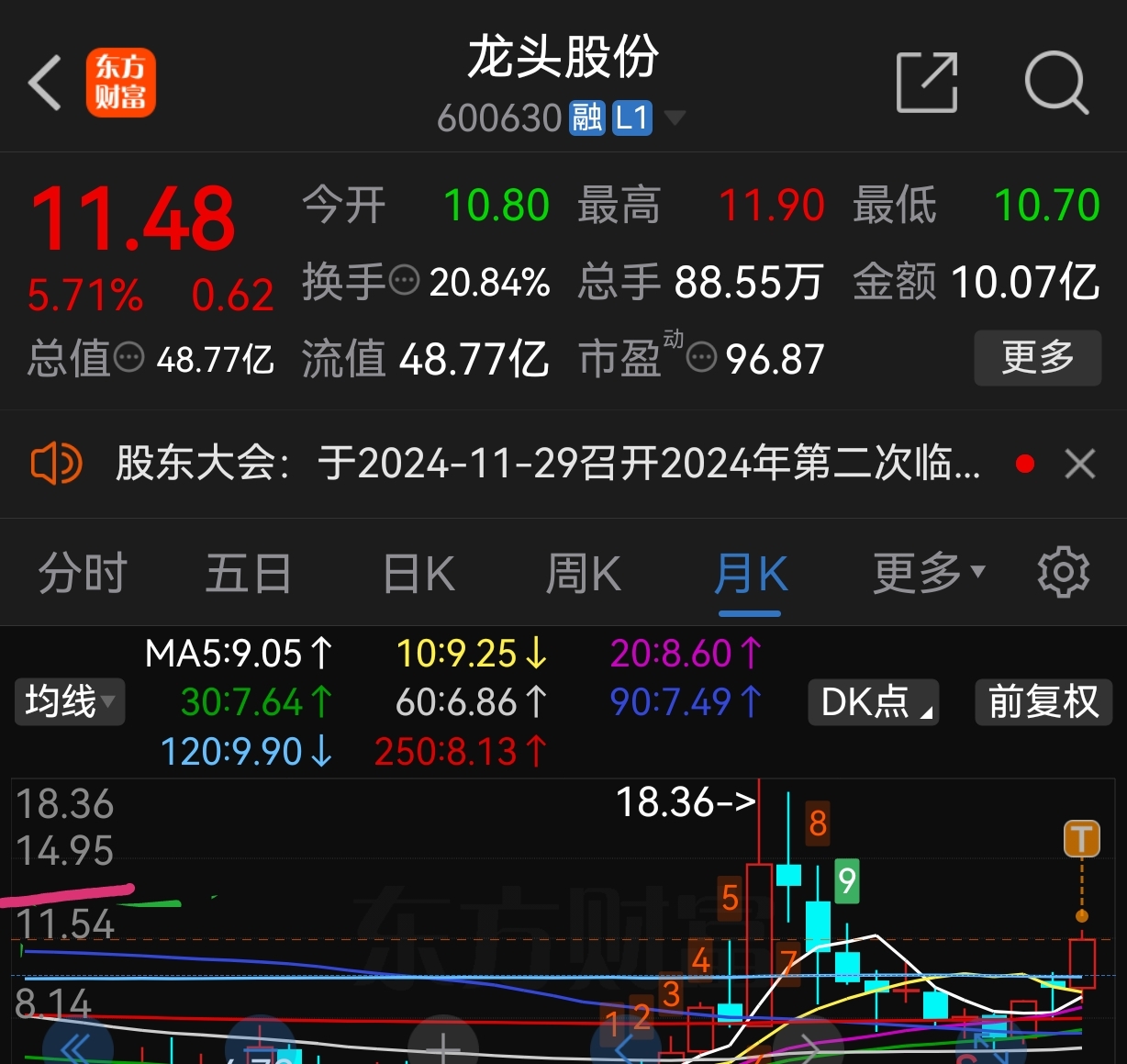 龙头股份最新消息揭秘，小巷深处的隐藏价值